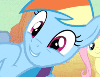 Pony Reactions