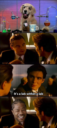 Inception