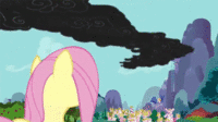 Pony Reactions