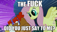 Pony Reactions