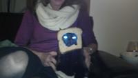 Cat Breading