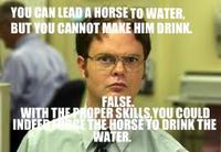 Schrute Facts