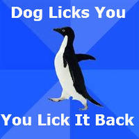 Socially Awkward Penguin