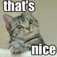 LOLcats