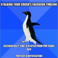 Socially Awkward Penguin