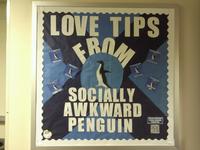 Socially Awkward Penguin