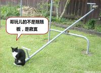 Loneliness Party (寂寞党)