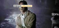Megaupload