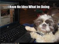 I Have No Idea What I'm Doing
