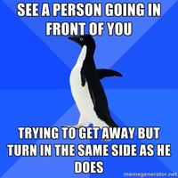 Socially Awkward Penguin
