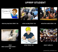 What People Think I Do / What I Really Do