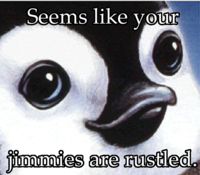 That Really Rustled My Jimmies