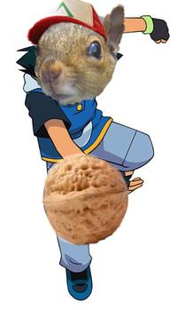 0c5.jpg