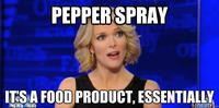 Megyn Kelly Essentially