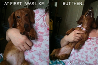 At First I Was Like...