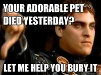 Downvoting Roman / Commodus Thumbsdown