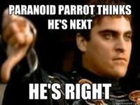 Downvoting Roman / Commodus Thumbsdown