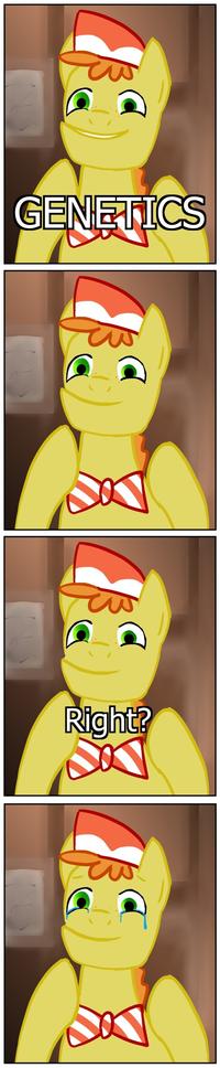 My Little Pony: Friendship is Magic
