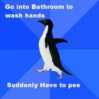 Socially Awkward Penguin