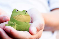 Get Out Frog / Frogout / Me Obrigue