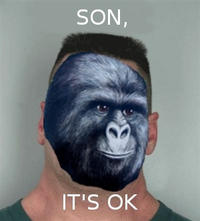 Son, I am disappoint