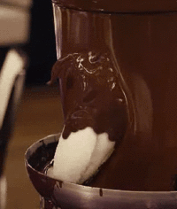 Chocolate Bird