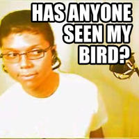Chocolate Bird
