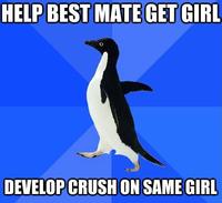 Socially Awkward Penguin