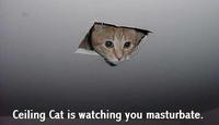 Image Macros