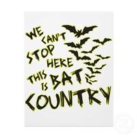 We Can't Stop Here, This is Bat Country