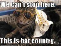 We Can't Stop Here, This is Bat Country