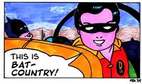 We Can't Stop Here, This is Bat Country