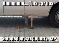 We Can't Stop Here, This is Bat Country