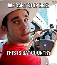 We Can't Stop Here, This is Bat Country