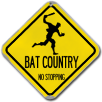 We Can't Stop Here, This is Bat Country