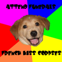 Advice Dog
