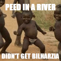 Third World Success