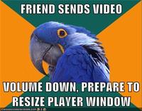 Paranoid Parrot