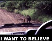 I Want to Believe