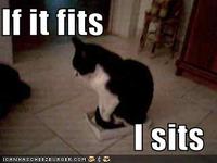 If It Fits I Sits