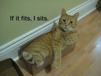 If It Fits I Sits