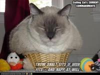 If It Fits I Sits
