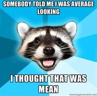 Lame Pun Coon
