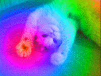 546.gif
