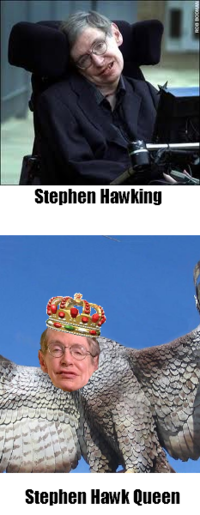 Name Puns