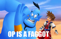 OP is a Faggot