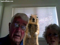 Crasher Squirrel