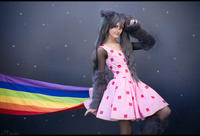 Nyan Cat / Pop Tart Cat