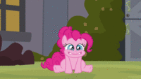 Pony Reactions