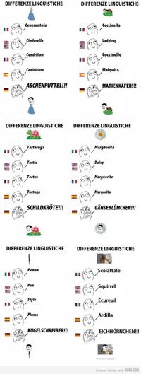 Differenze Linguistiche